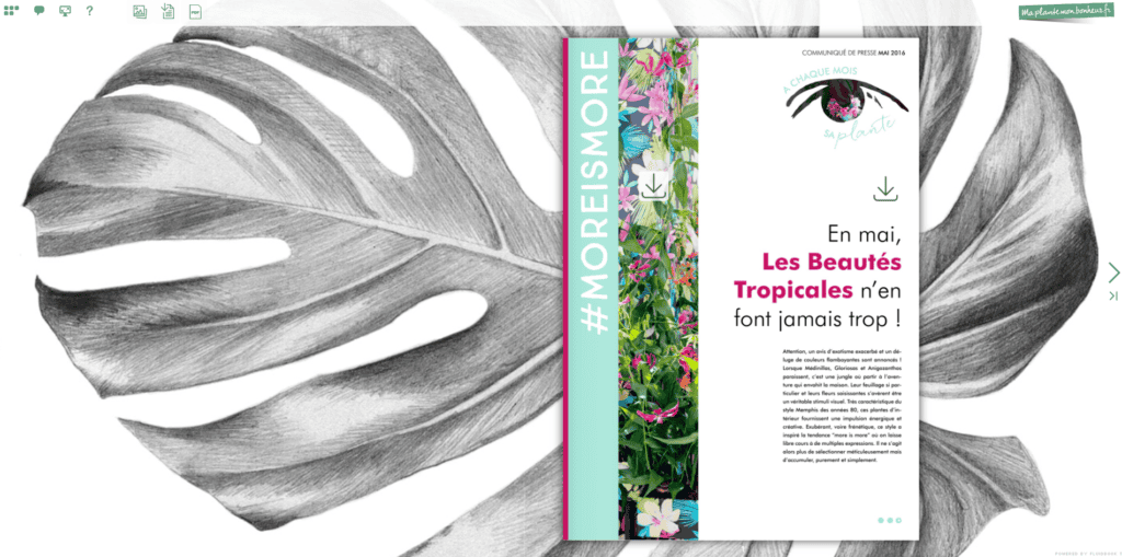 Flipbook Les beautés tropicales mai 2016