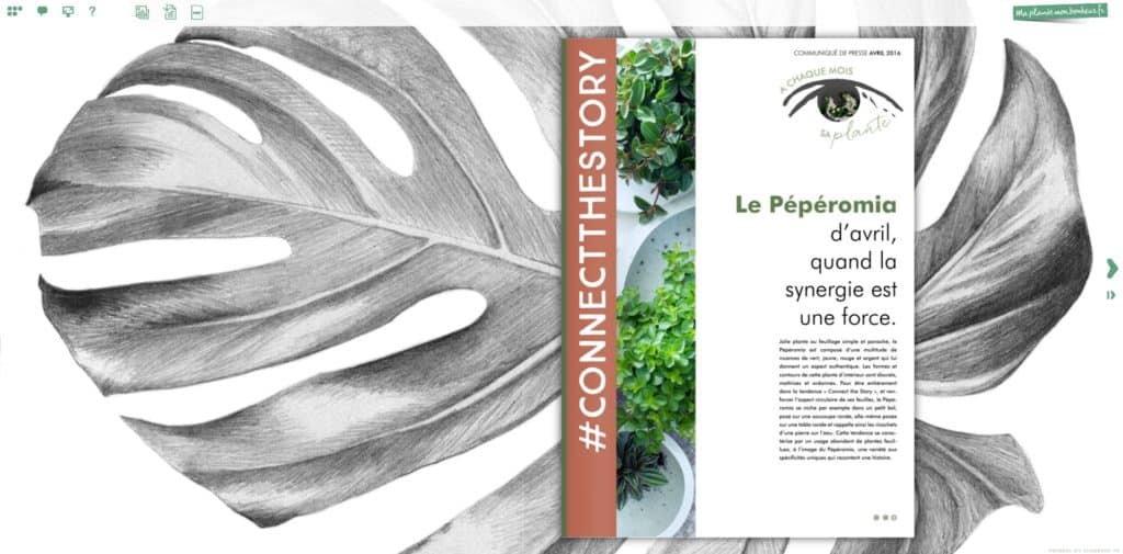 Flipbook le pépéromia avril 2016
