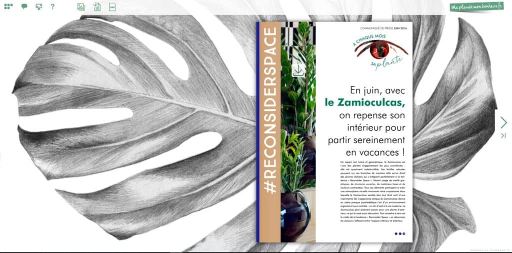 Flipbook Le zamioculcas juin 2016