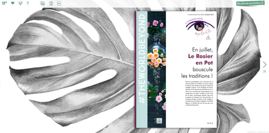 Flipbook Le rosier en pot juillet 2016