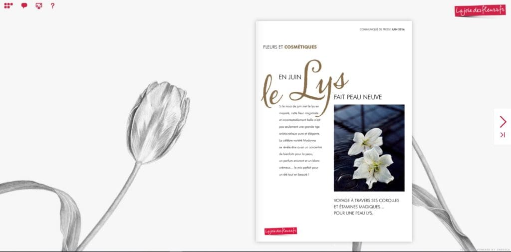 Flipbook Le lys fait peau neuve juin 2016