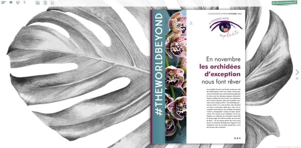 Flipbook Les Orchidées d'exception novembre 2016