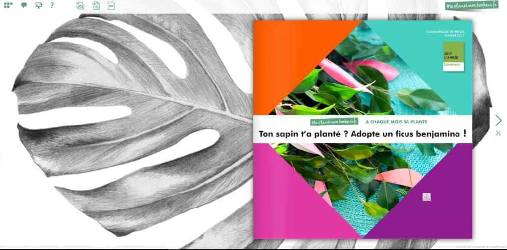 Flipbook Adopte un ficus benjamina janvier 2017