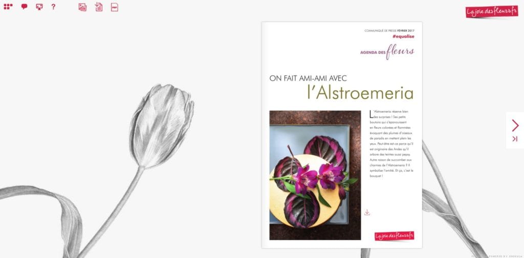 Flipbook Agenda des fleurs l'alstroemeria fevrier 2017