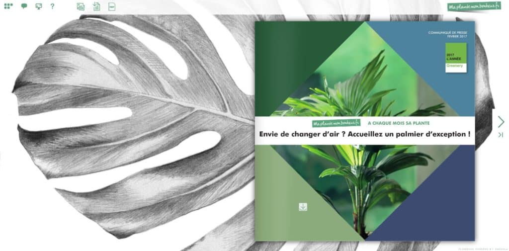 Flipbook Accueillez un palmier février 2017