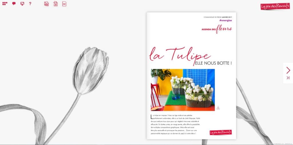 Flipbook Agenda des fleurs la tulipe janvier 2017