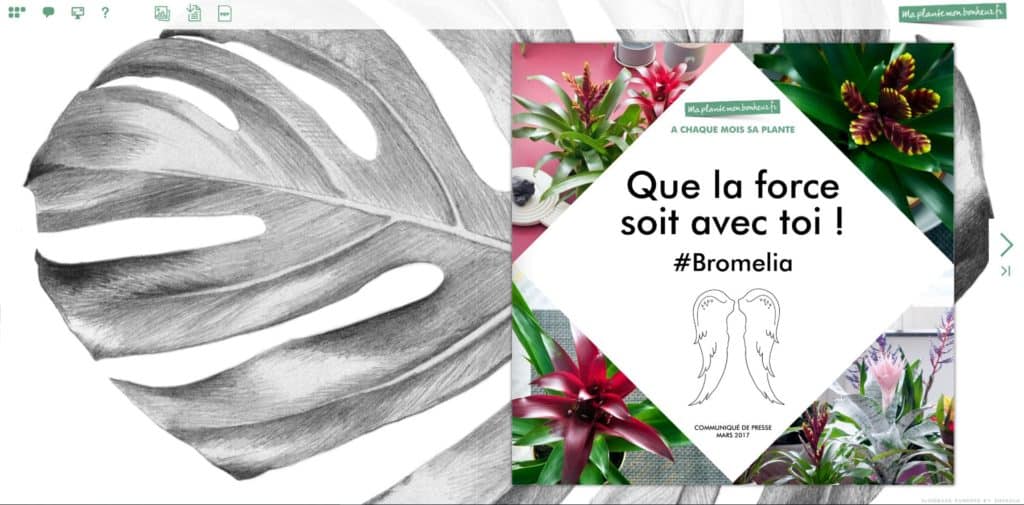 Flipbook Le bormélia mars 2017