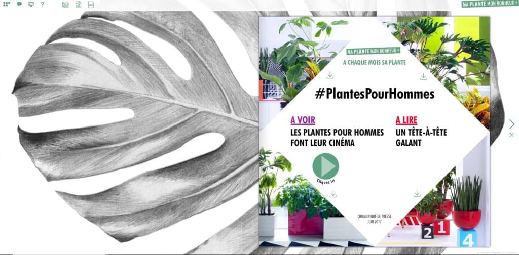 Flipbook Les plantes pour les hommes juin 2017