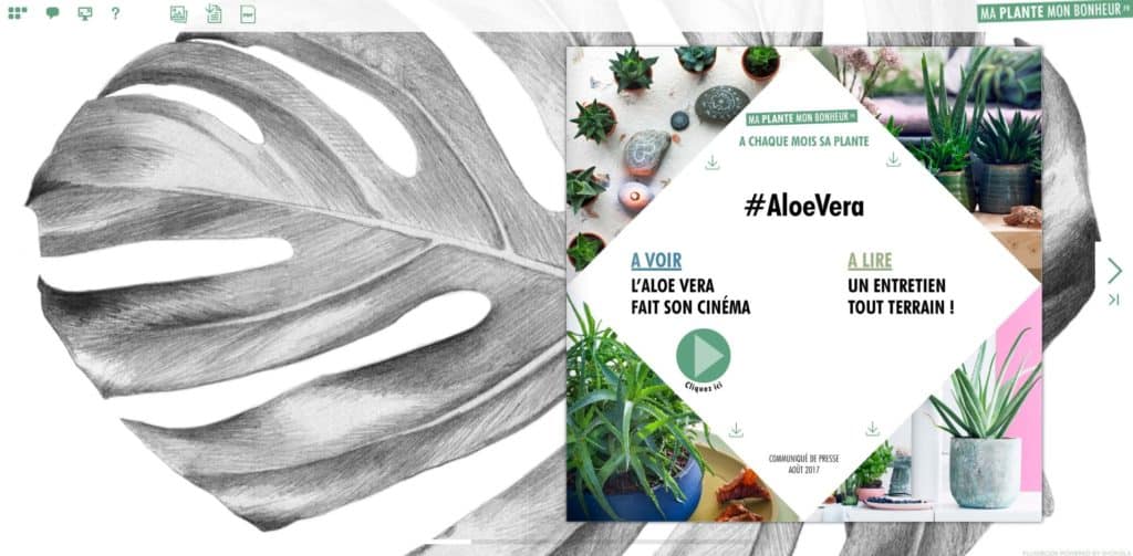 Flipbook Aloevera aout 2017