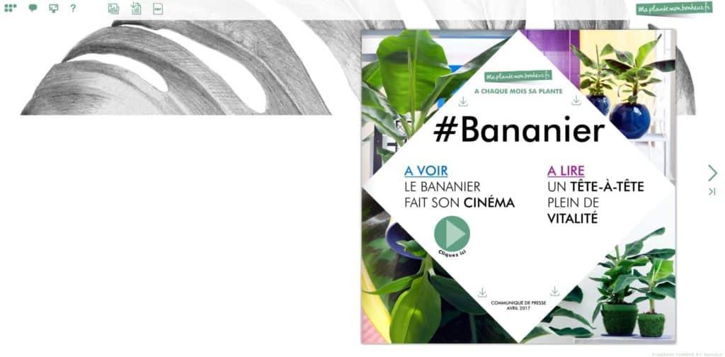 Flipbook Bananier avril 2017