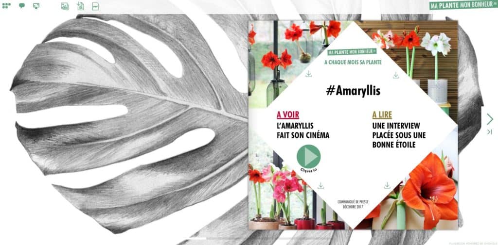 Flipbook Amaryllis décembre 2017