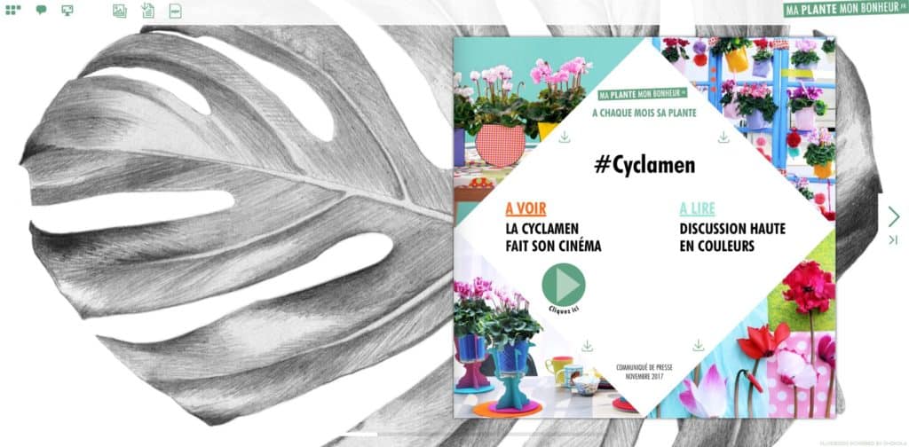 Flipbook Cyclamen novembre 2017