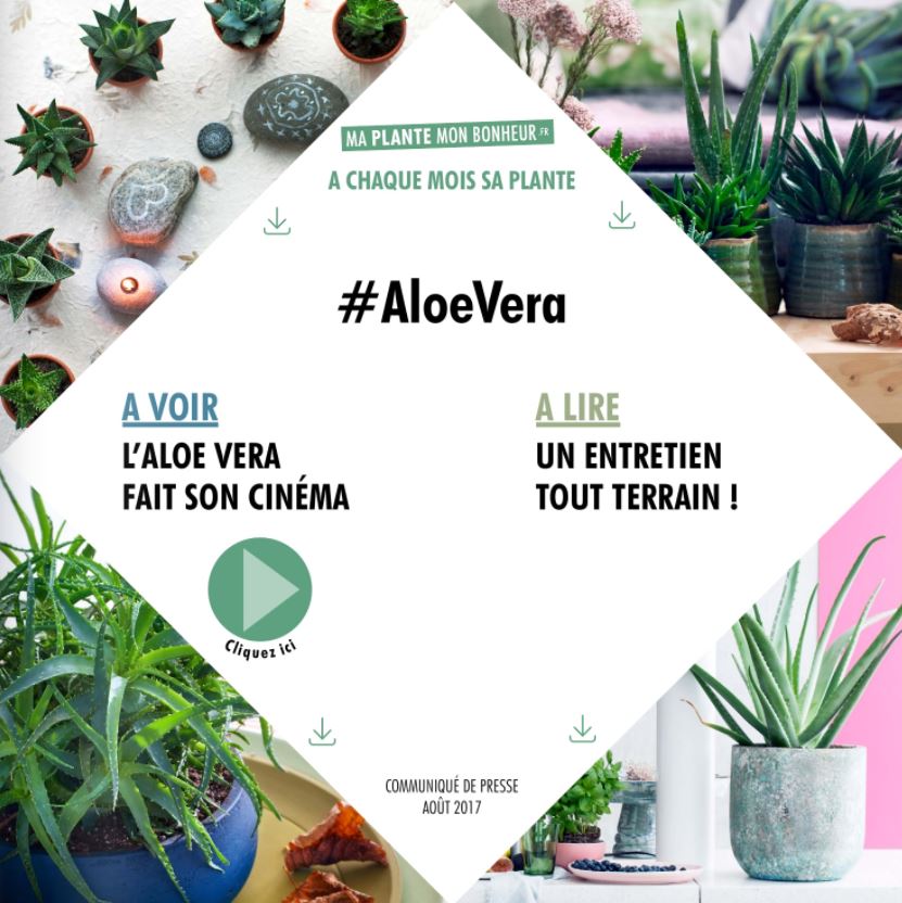 flipbook ma plante mon bonheur