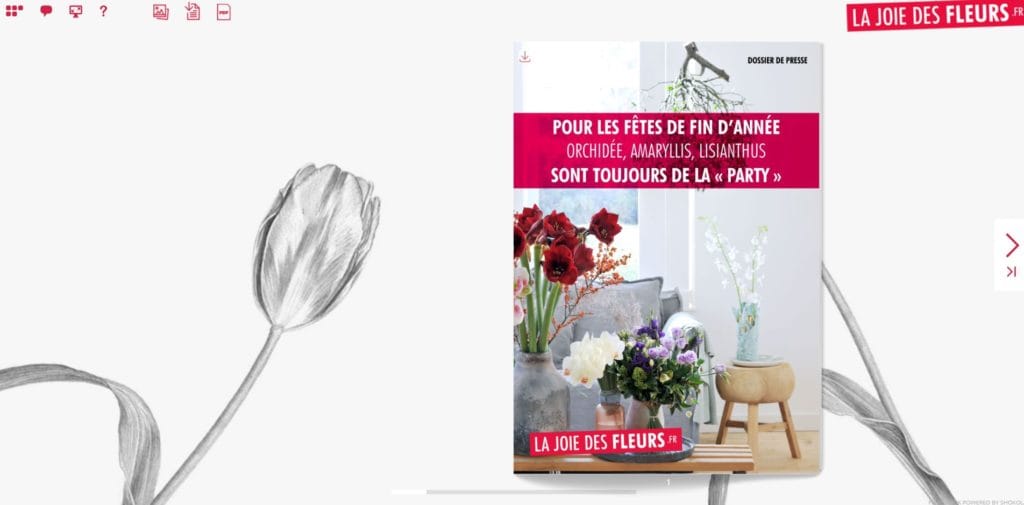 Flipbook Fleurs de fêtes de fin d'année orchidée, amaryllis, lisianthus octobre 2017