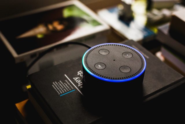 Amazon Alexa Assistant Vocal