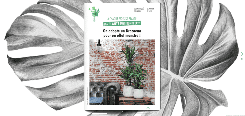 Flipbook Le Dracaena janiver 2018