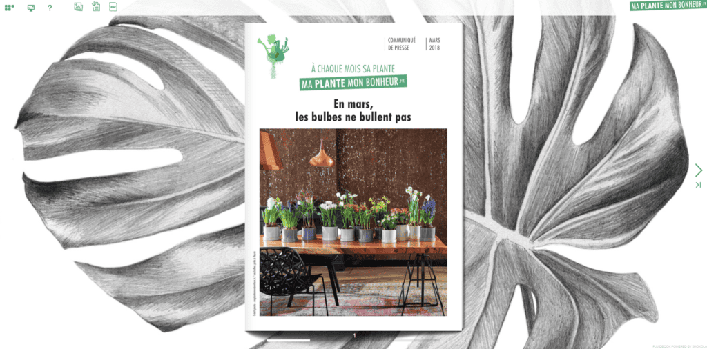 Flipbook Les bulbes ne bullent pas mars 2018