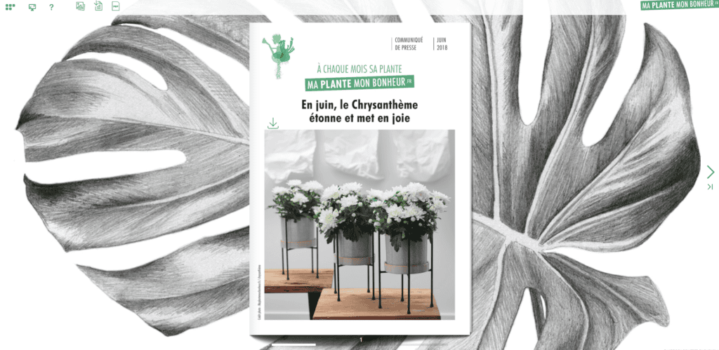 Flipbook En juin le chrysanthème juin 2018