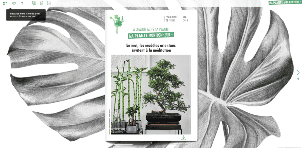 Flipbook Modèles orientaux mai 2018