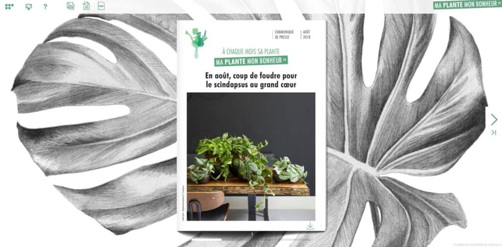 Flipbook le scindapsus aout 2018