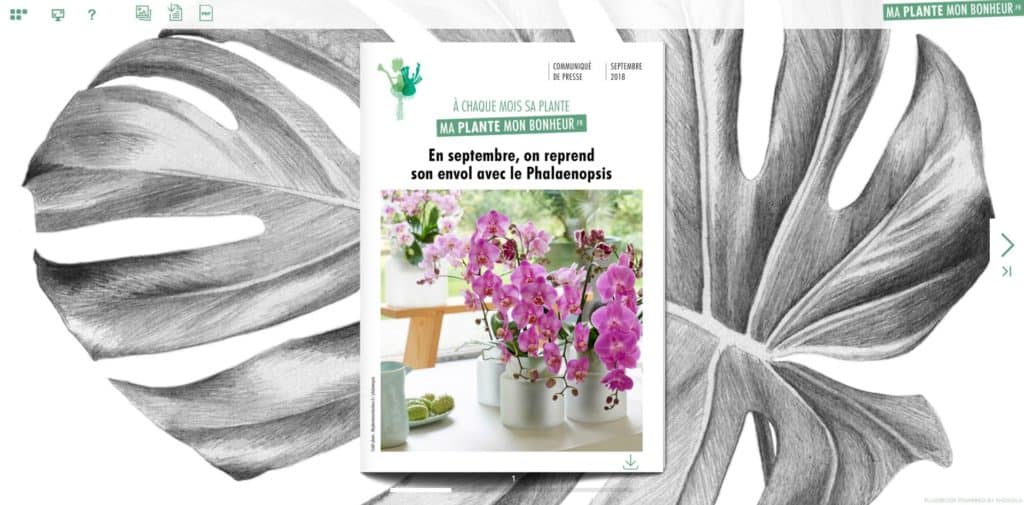 Flipbook le phalaenodid septembre 2018